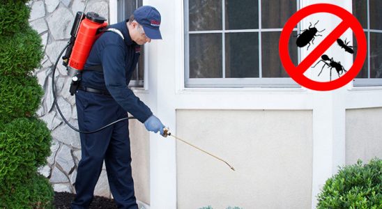 Solhan Hamam Böceği İlaçlama böcek ilaçlama ve haşere kontrolü — ilaclama-tr.com